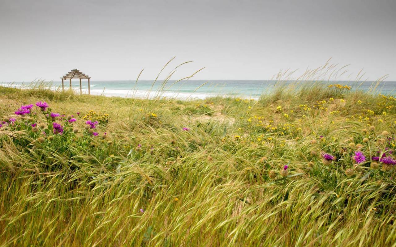 Romantic Beach Cabin - Playa El Palmar El Palmar  Buitenkant foto